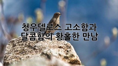 청우델로스: 고소함과 달콤함의 황홀한 만남